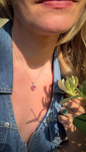 Load image into Gallery viewer, 14k Watermelon Tourmaline Necklace