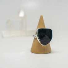 Load image into Gallery viewer, The Protector