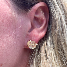 Load image into Gallery viewer, Sunstone Earrings No.2
